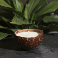 Coco Glow — Coconut Shell Soy Candle | Coconut & Vanilla Scent | Natural Home Decor