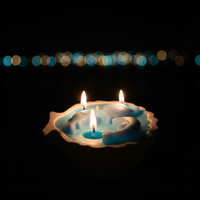 Ocean Theme Dolphin & Fish Wax Candle Set | Coastal Home Décor Candle in Shell Dish
